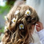 image of flower girl hairstyle with daisies