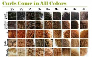 HairTexture-Charts